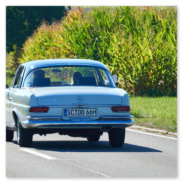 Vano bagagli capiente per gruppi